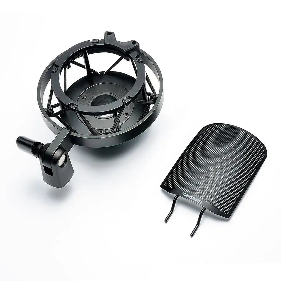 Takstar TAK55 Dual-Diaphragm Studio Condenser Microphone